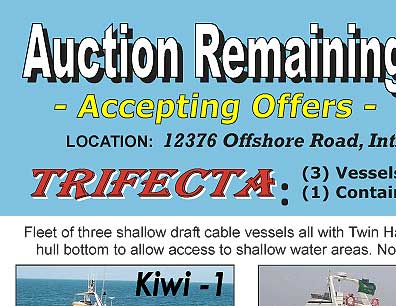 Kiwi-Public Auction